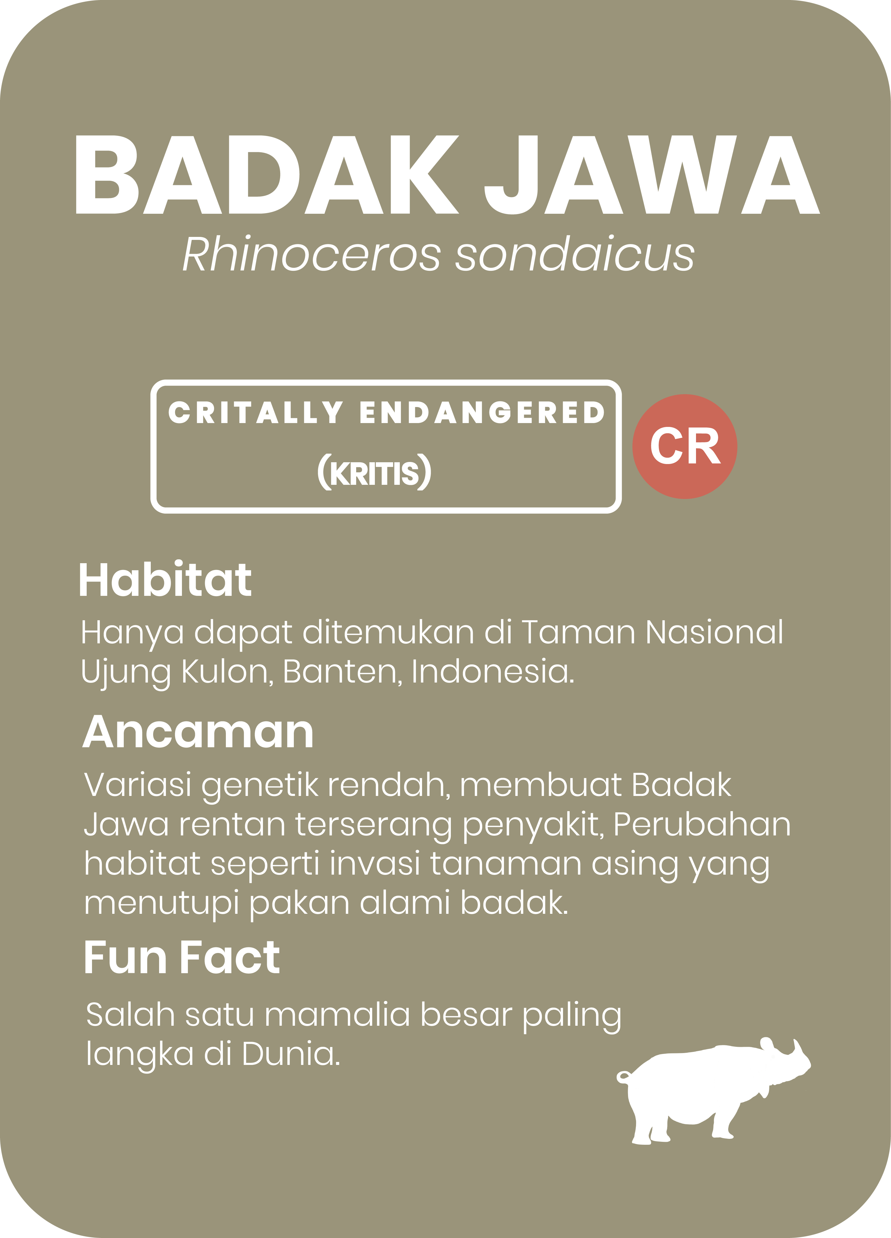 Badak Jawa