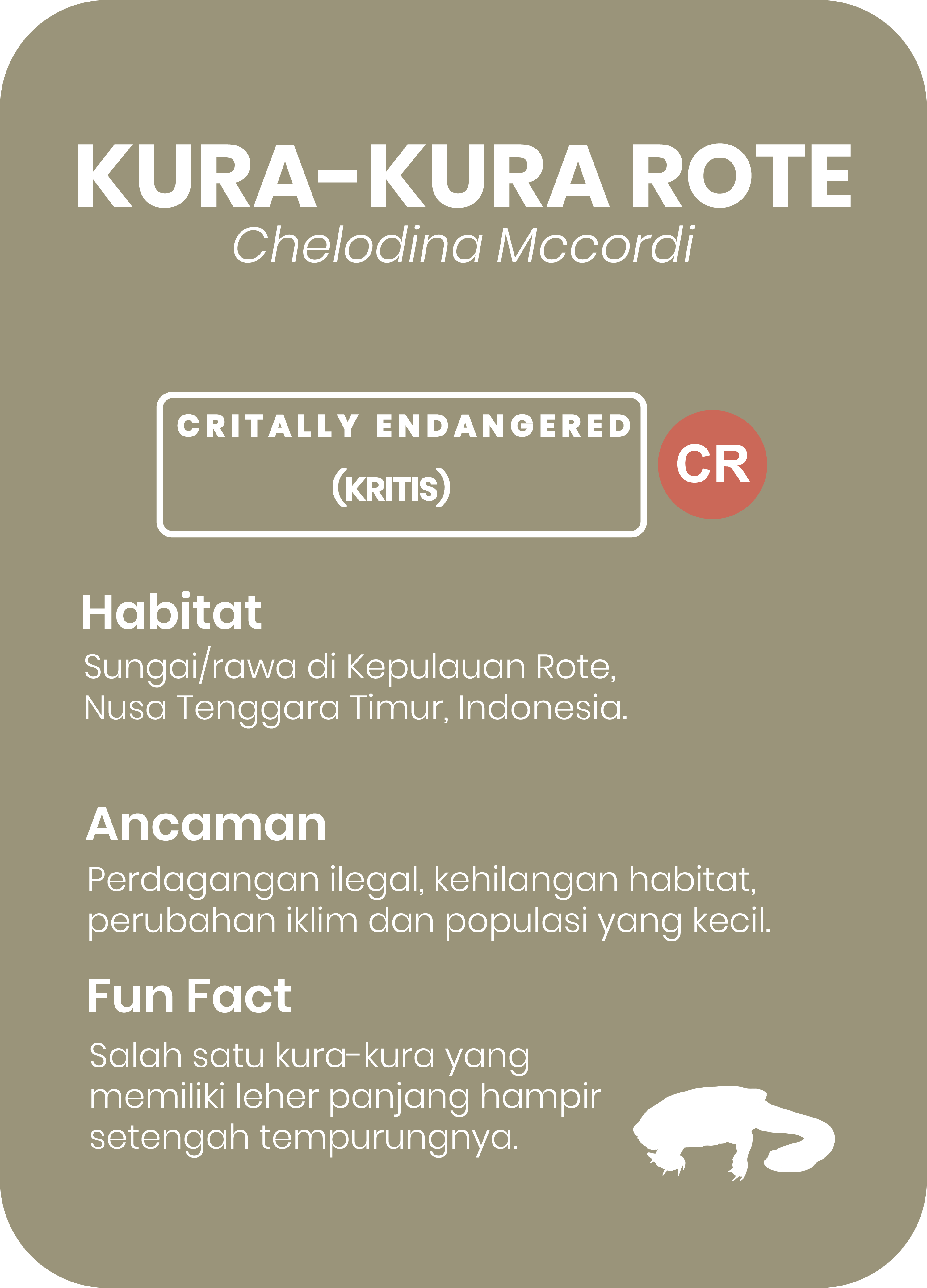 Kura Kura Leher Ular