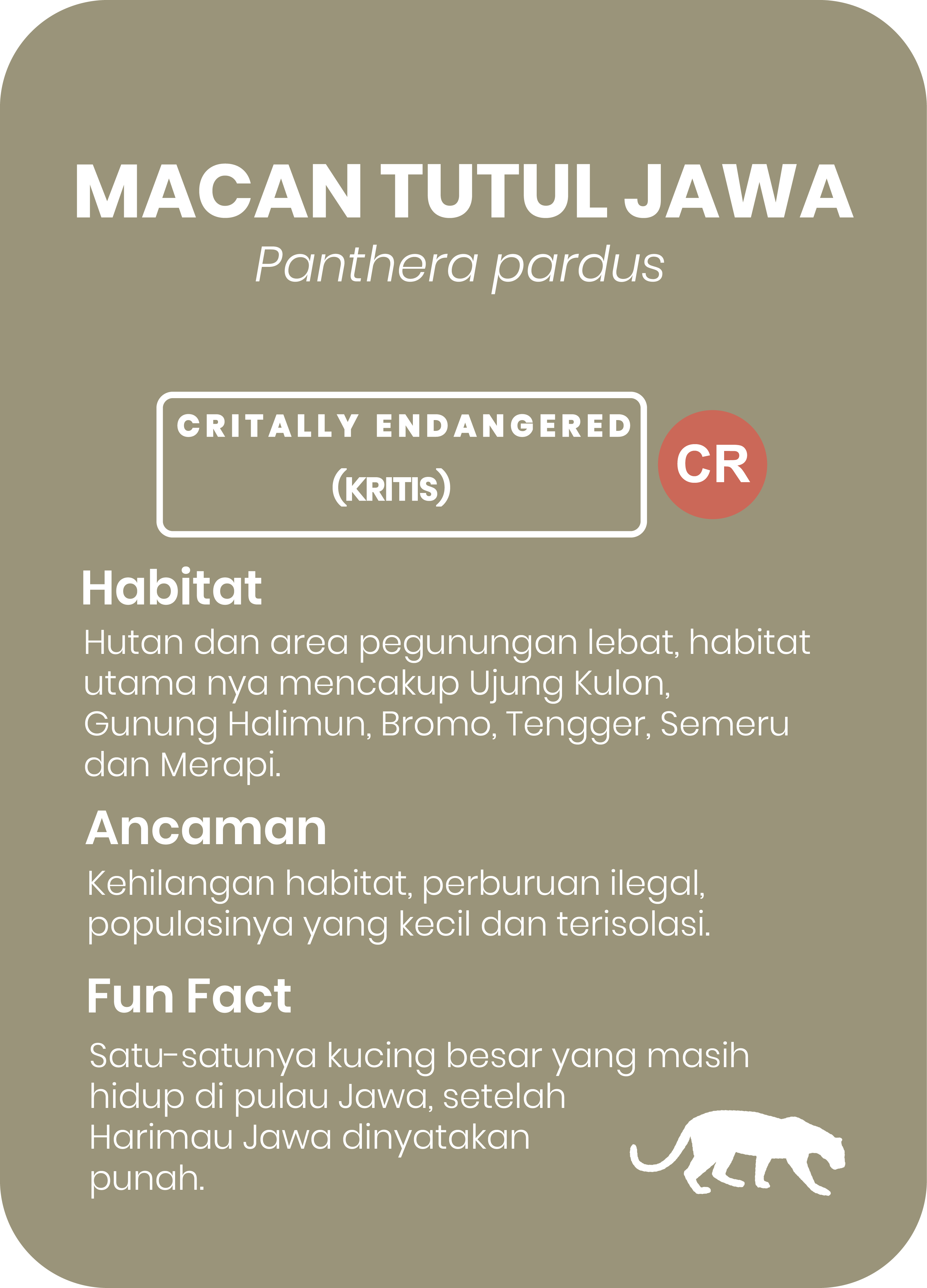 Macan Tutul Jawa